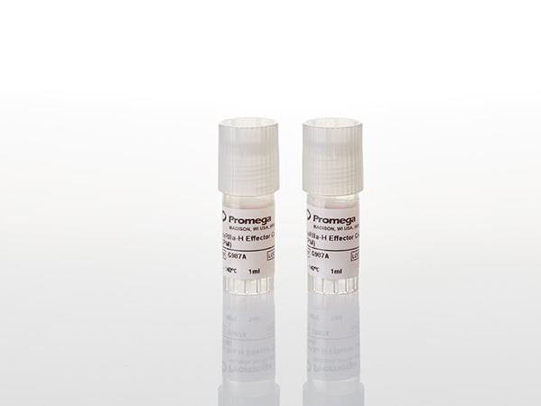 ADCP Bioassay Effector Cells, Propagation Model_产品_Promega微网站-普洛麦格（北京 ...